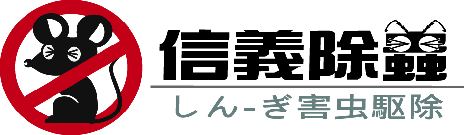 台北白蟻防治除蟲公司 0800-581-000