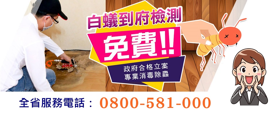 全省免費白蟻偵測 0800-581-000